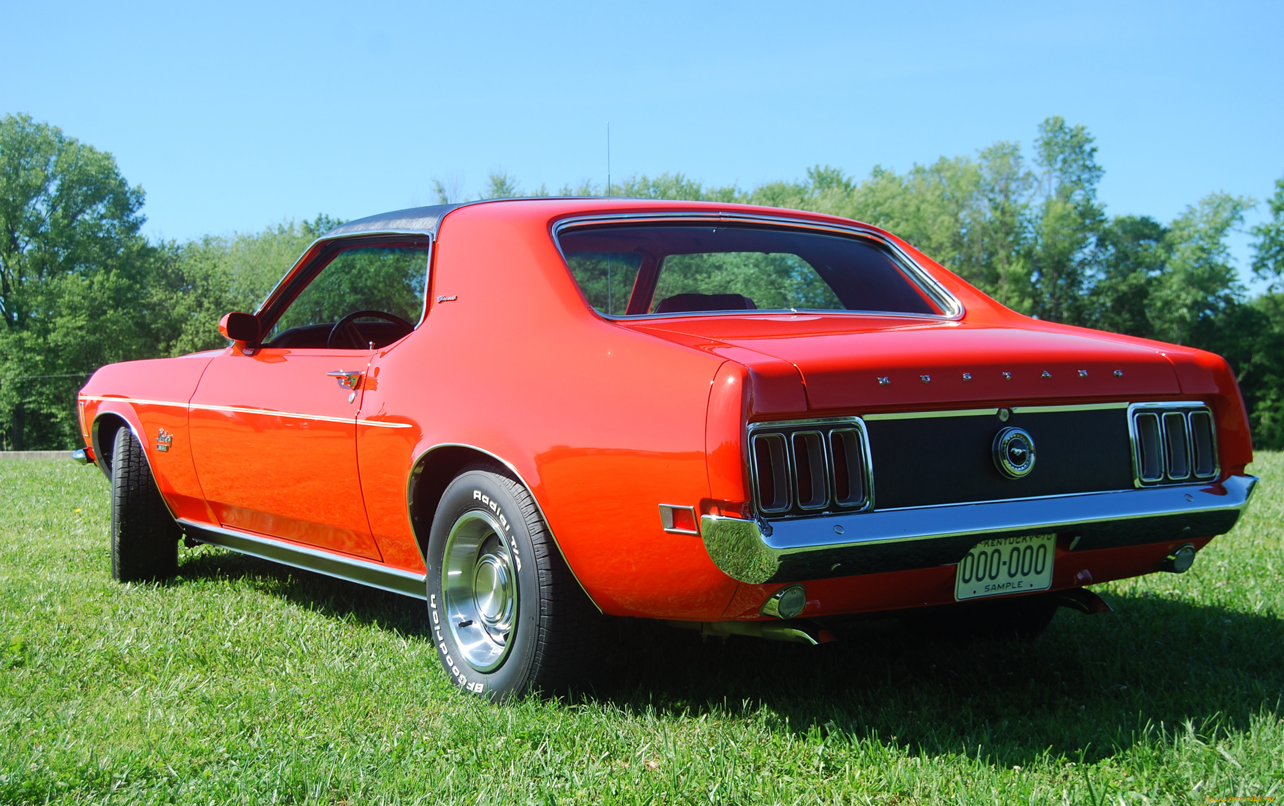 , mustang